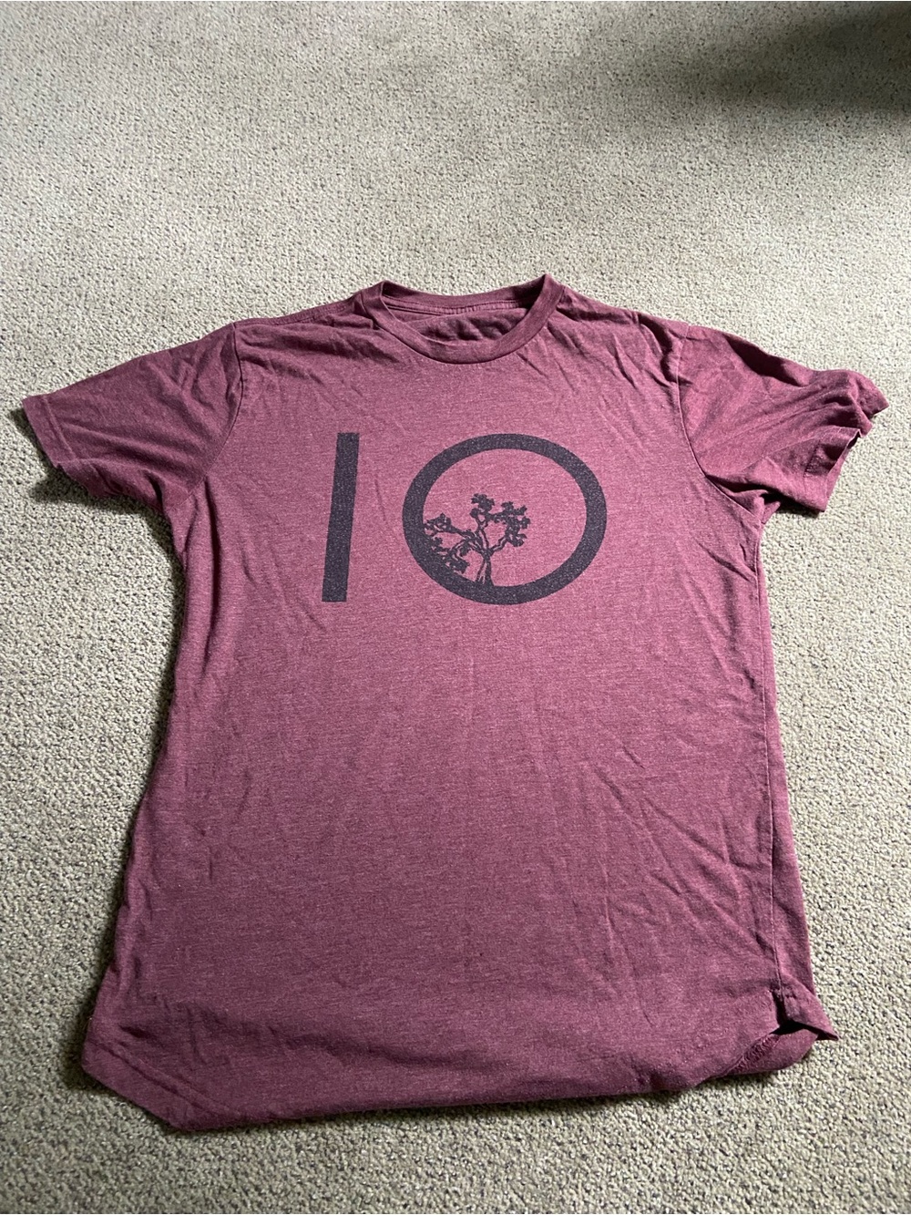 Tentree Women's Burgundy Top